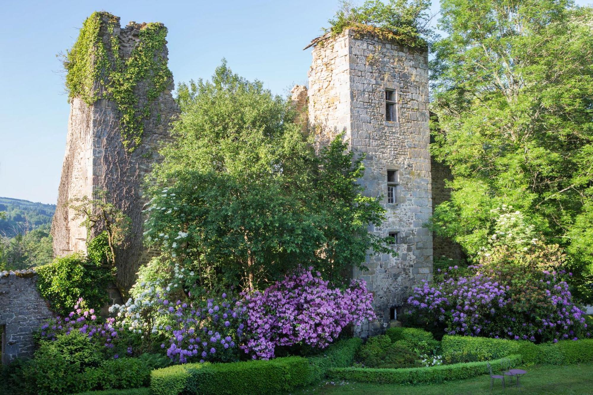 Abbaye Du Palais Bed & Breakfast Thauron ห้อง รูปภาพ