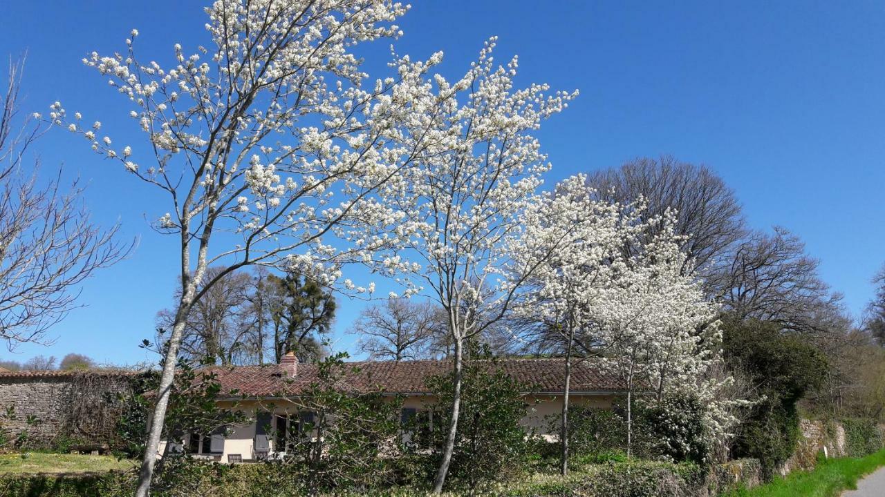 Abbaye Du Palais Bed & Breakfast Thauron ภายนอก รูปภาพ